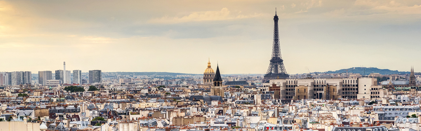 View of the Parisian city skyline, highlighting the Eiffel Tower in the background.